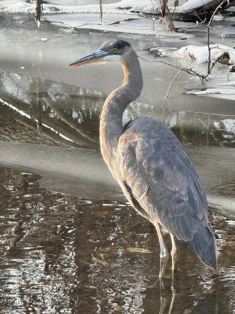 Image uploaded by Robbie