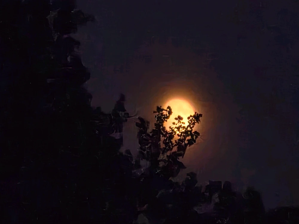 GIF uploaded by Ricardo