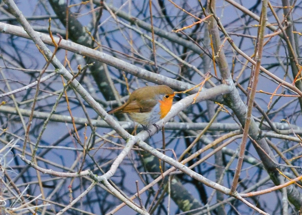 Image uploaded by Abbeygail (ace)