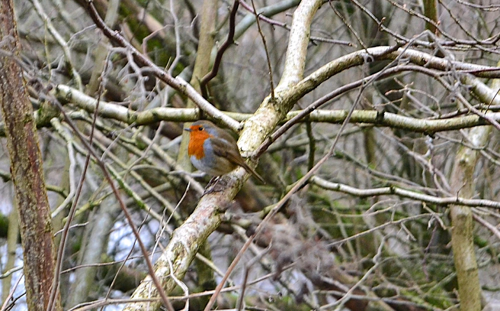 Image uploaded by Abbeygail (ace)