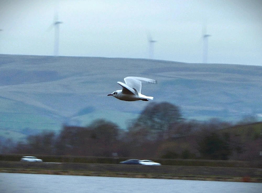 Image uploaded by Abbeygail (ace)