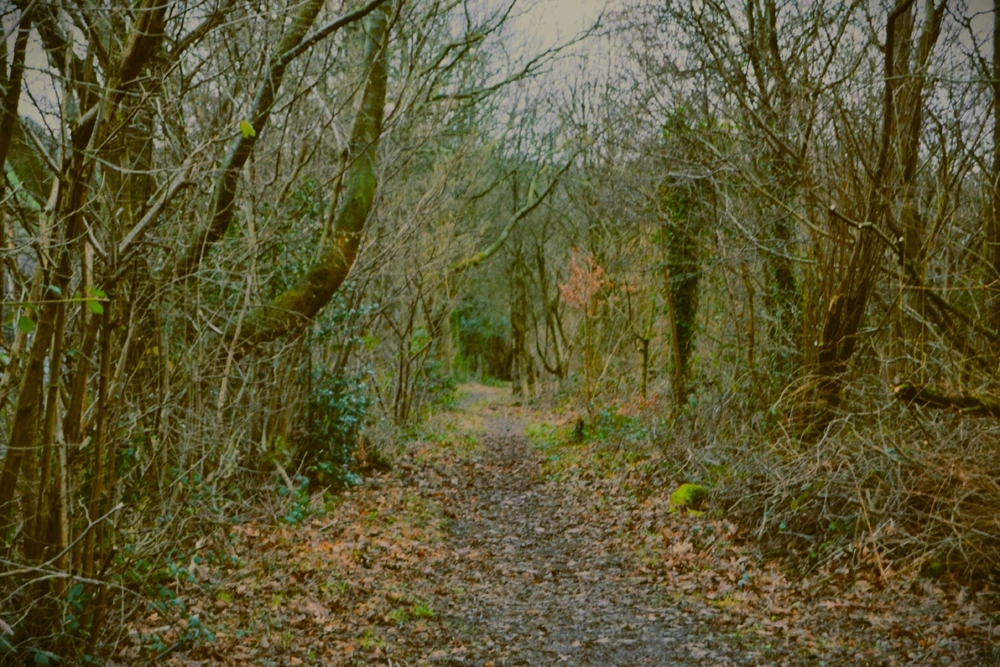 Image uploaded by Abbeygail (ace)