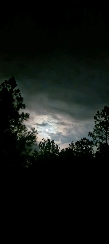 GIF uploaded by Jeff