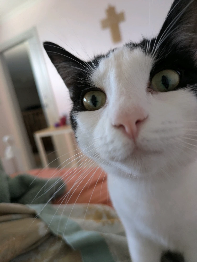 Image uploaded by Sarah