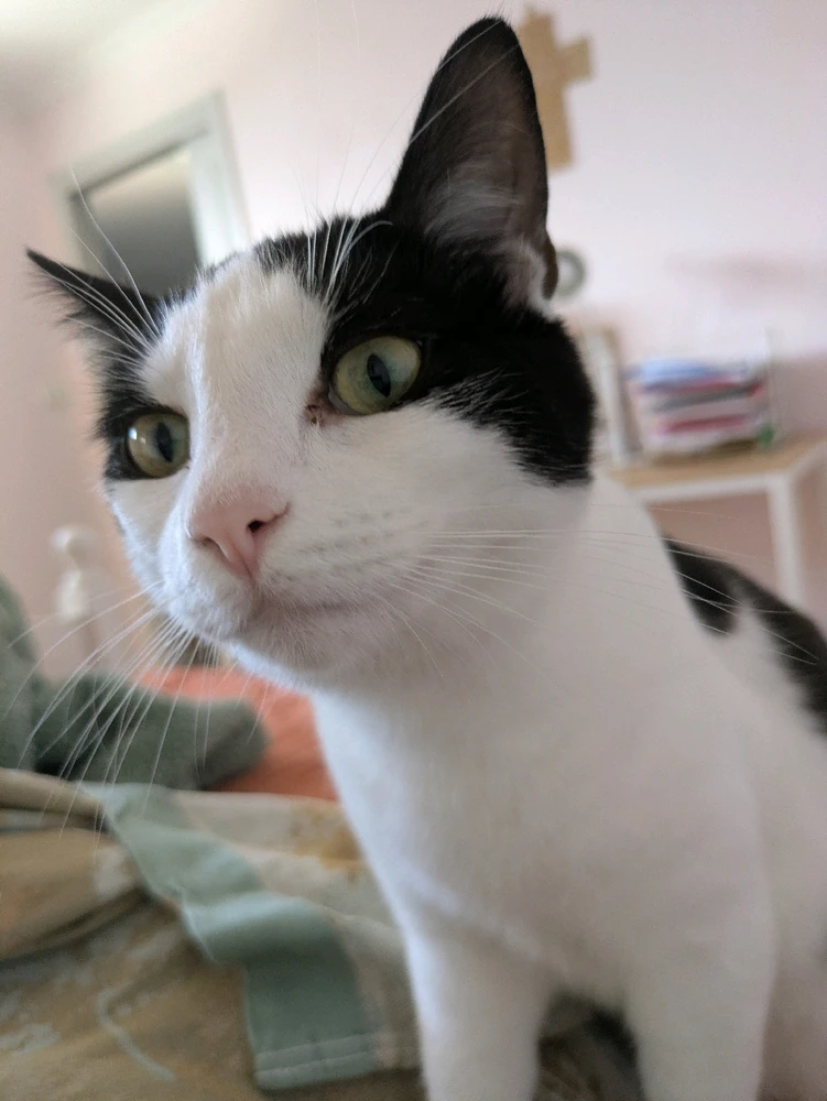 Image uploaded by Sarah