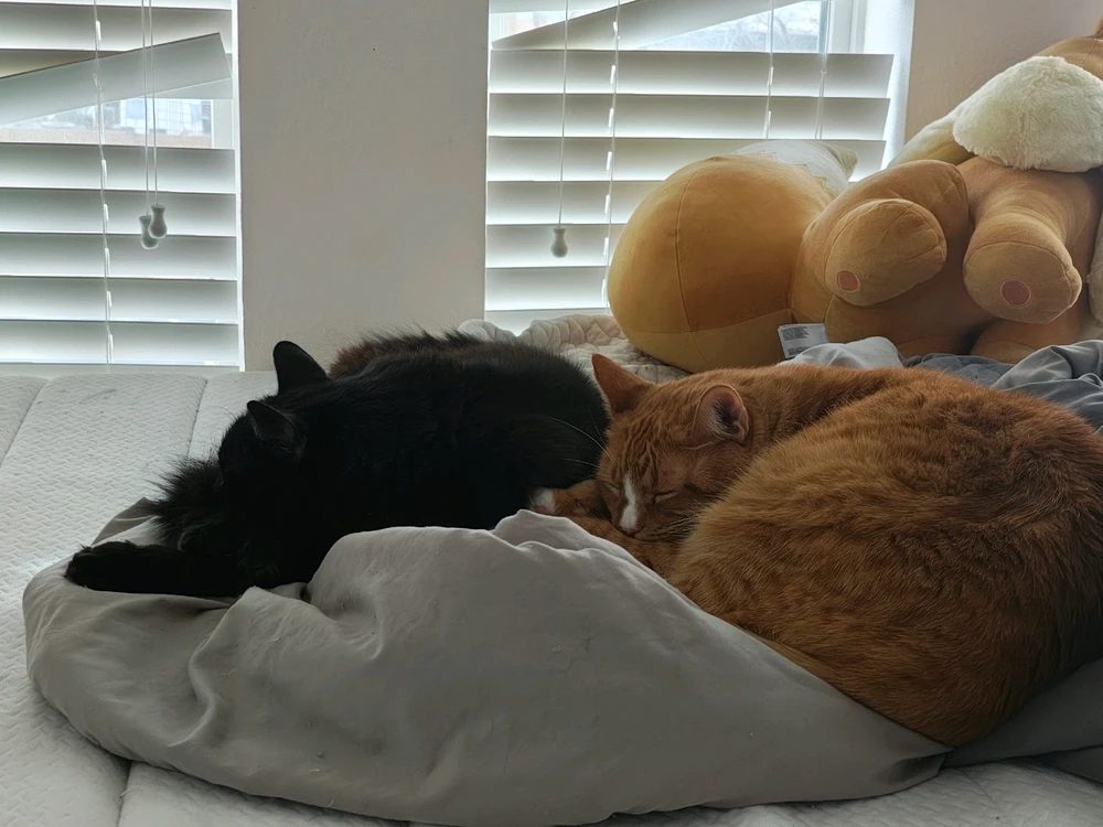 GIF uploaded by Roman