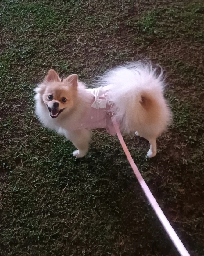 Imagem enviada por Larissa Veiga