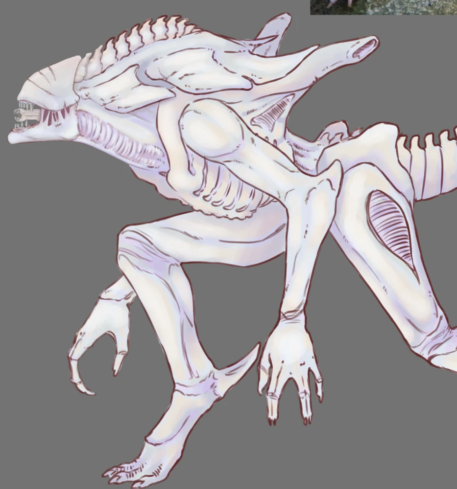 Image uploaded by Susie