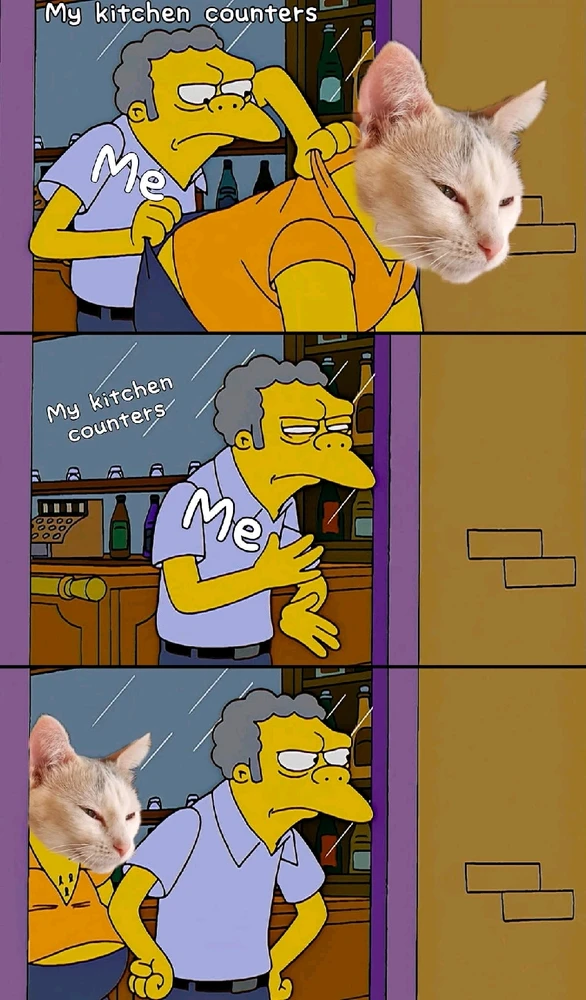 GIF uploaded by Crystal