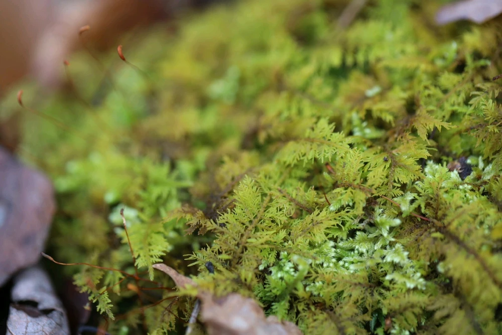 Image uploaded by Pavel