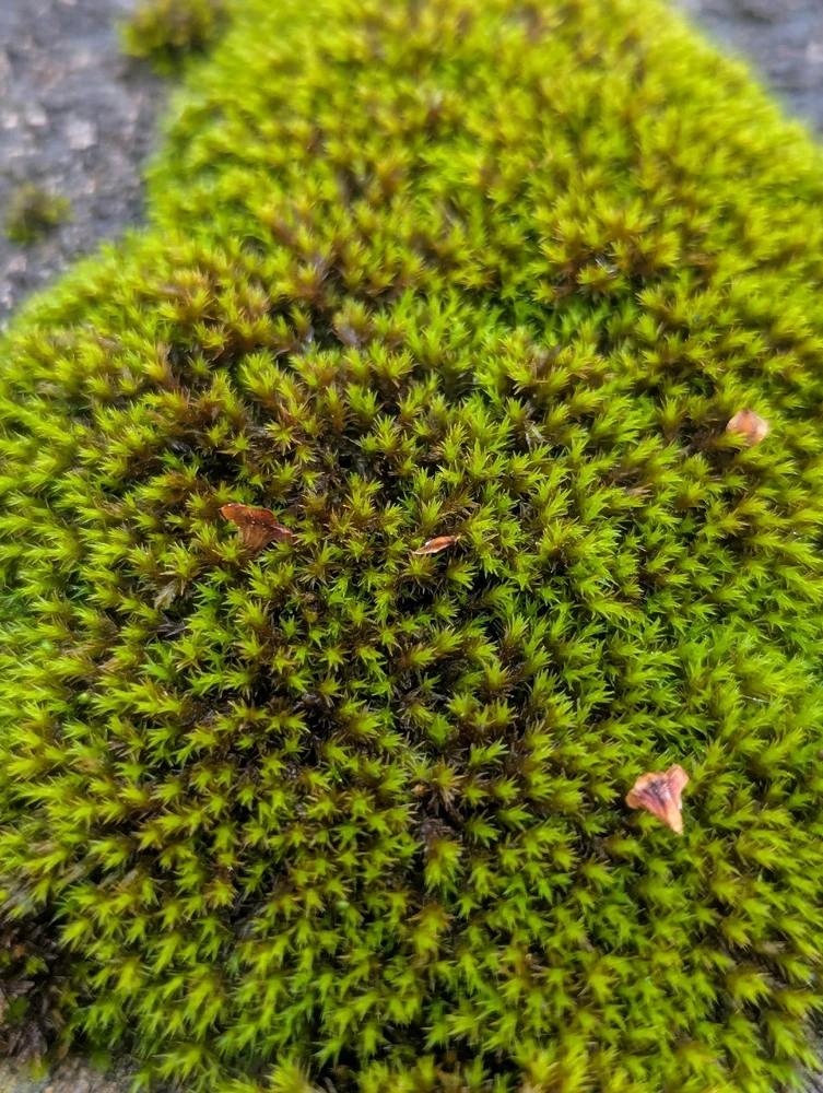 Image uploaded by Pavel