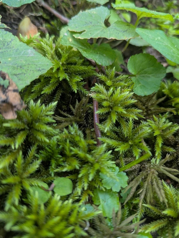 Image uploaded by Pavel