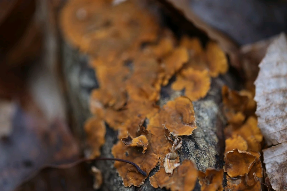 Image uploaded by Pavel