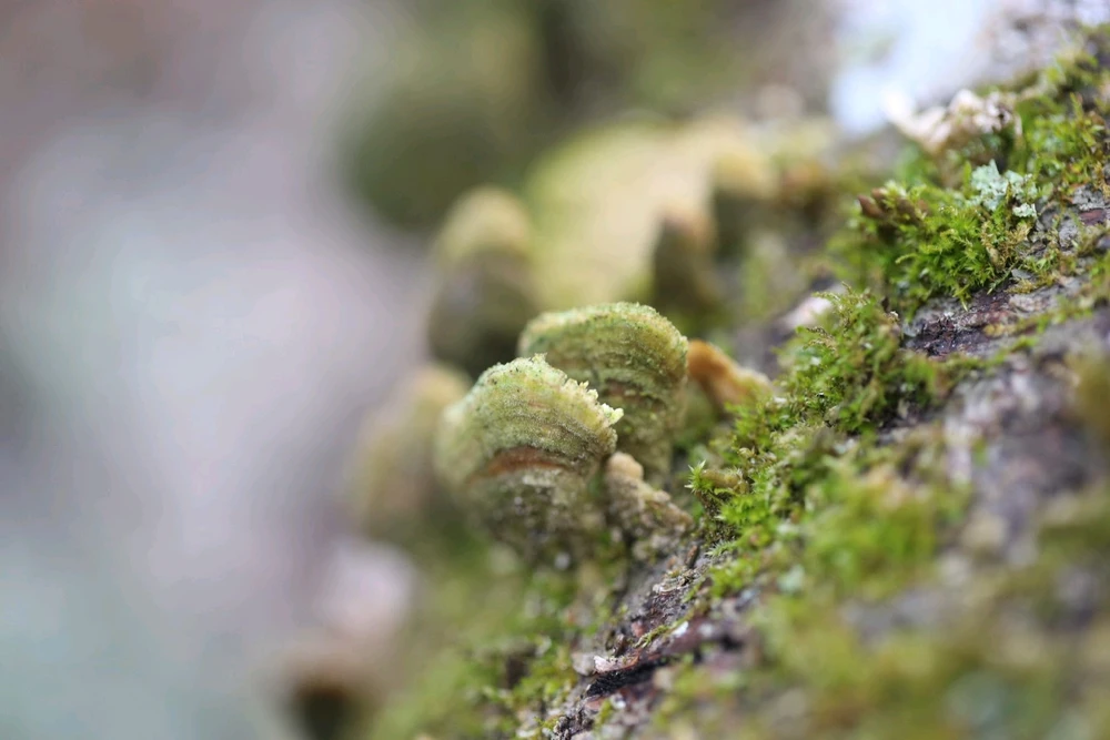 Image uploaded by Pavel