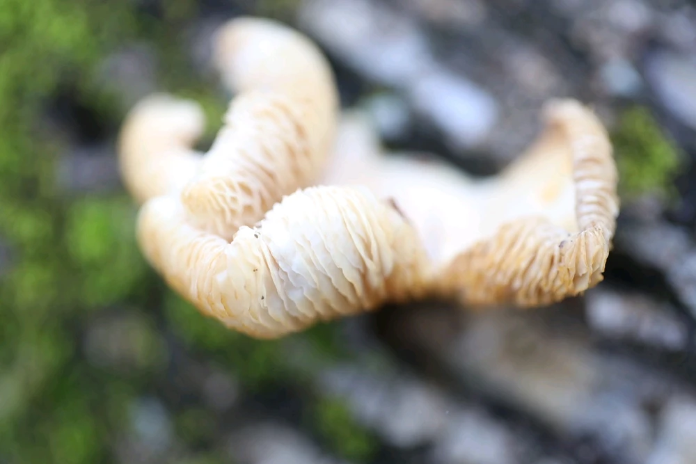 Image uploaded by Pavel