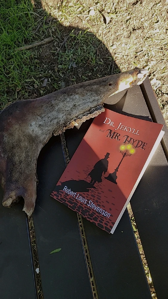 Image uploaded by Devin