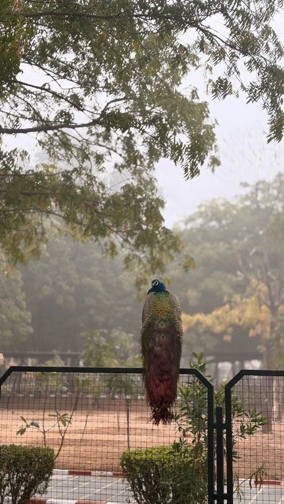 GIF uploaded by Lavish