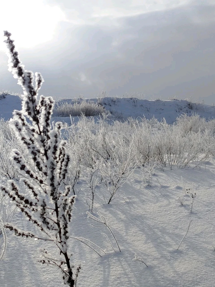 Image uploaded by JULIETTE