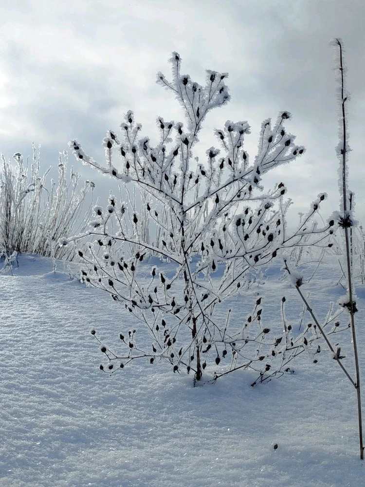 Image uploaded by JULIETTE