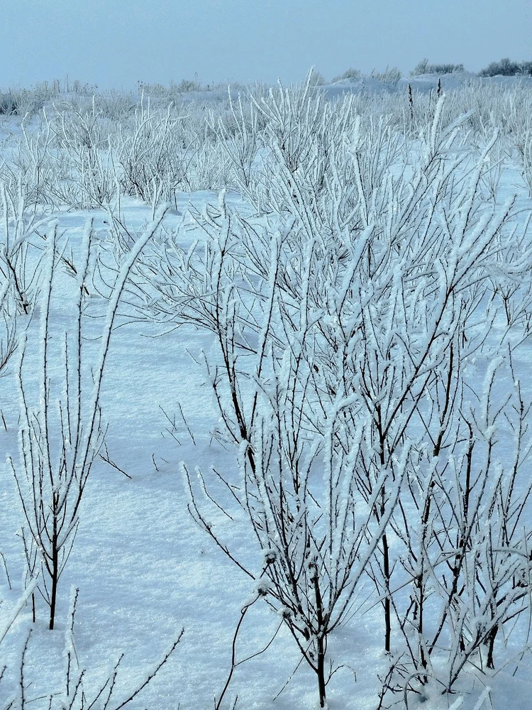 Image uploaded by JULIETTE