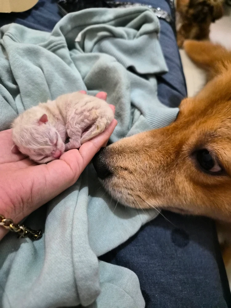 Image uploaded by Bree