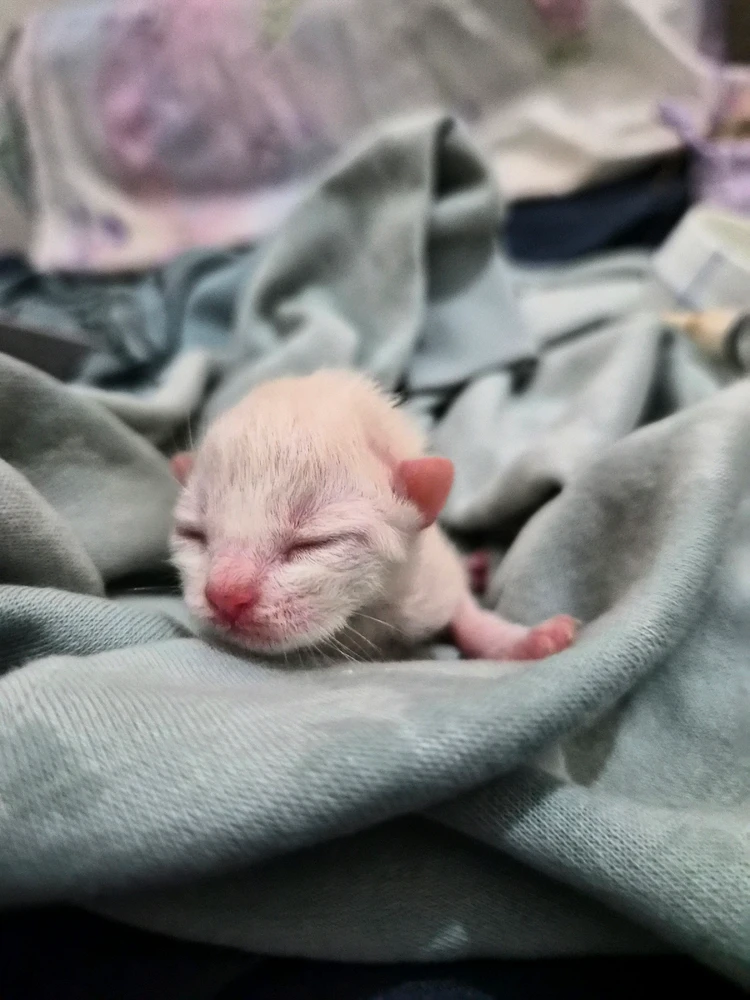 Image uploaded by Bree