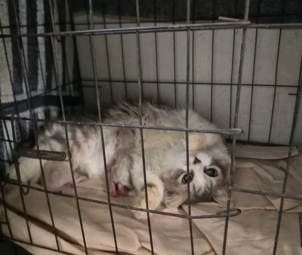 Image uploaded by Bree