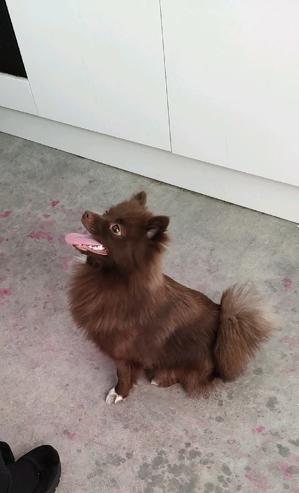 GIF uploaded by Luke J