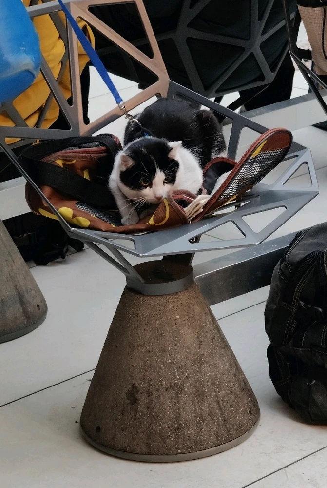 GIF dodany przez Marcin