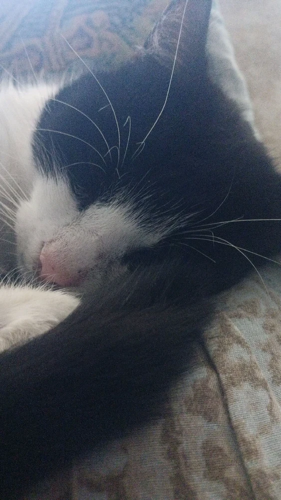 Immagine caricata da Greg