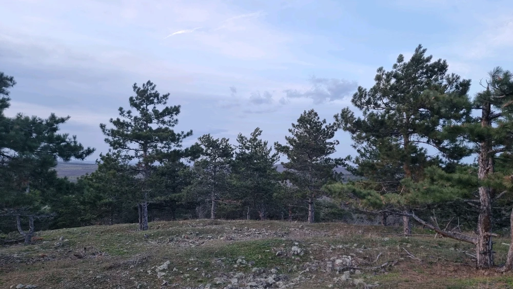 GIF качен от Георги