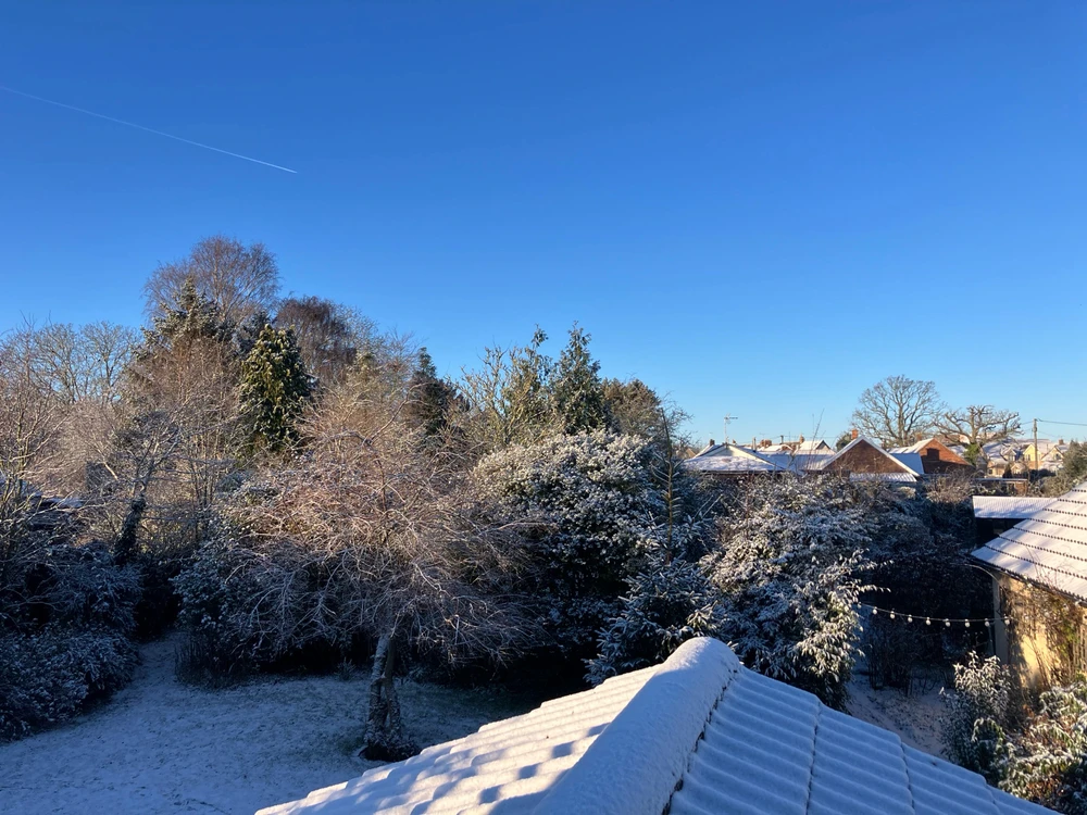 GIF uploaded by ๐ฆOlivia