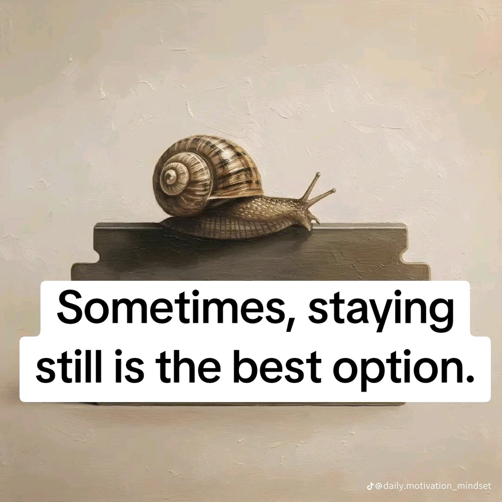 Meyniがアップロードした画像