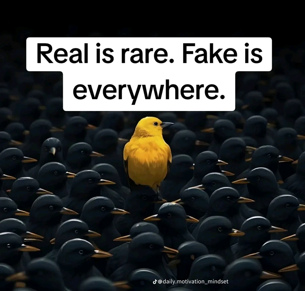 Meyniがアップロードした画像