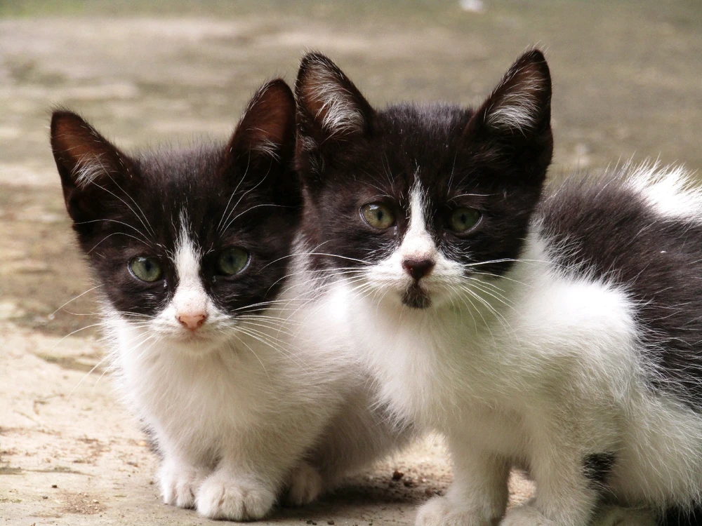 GIF uploaded by kiki