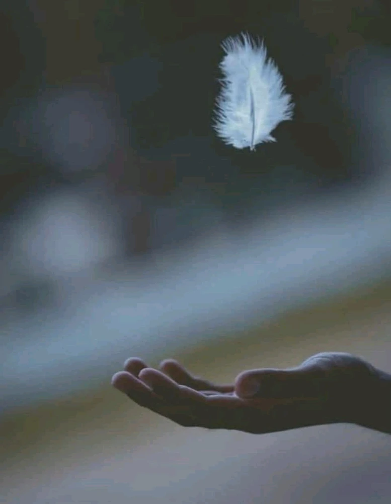 GIF ajouté par Mickaël