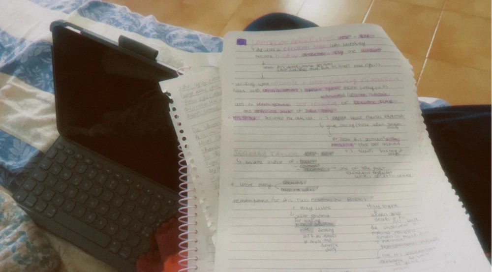 I am practically became an amanuensis with all this schemes 🫠😑