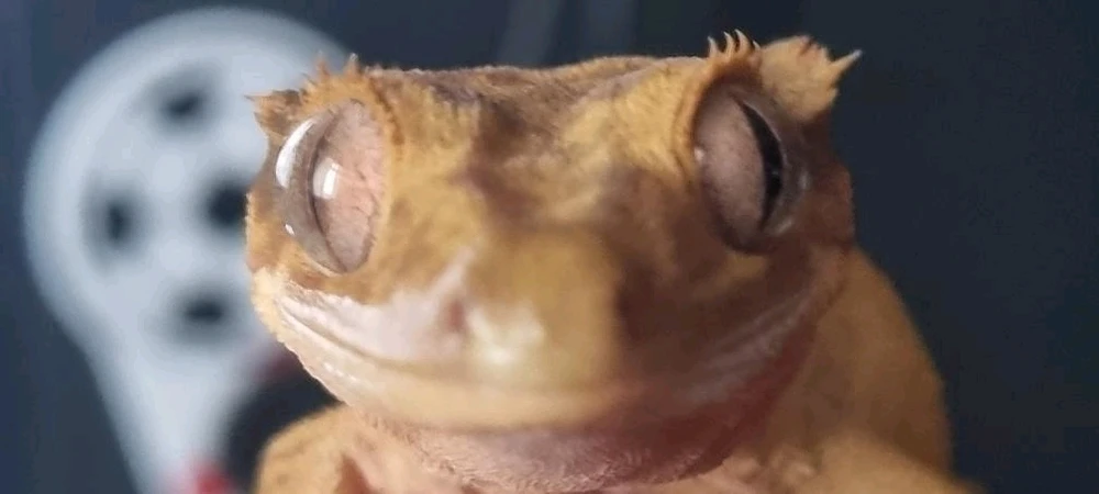GIF uploaded by Bailey