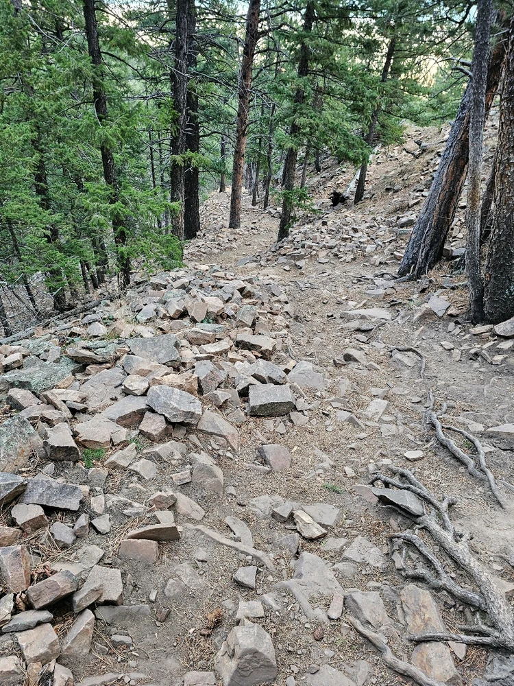 Image uploaded by Dan