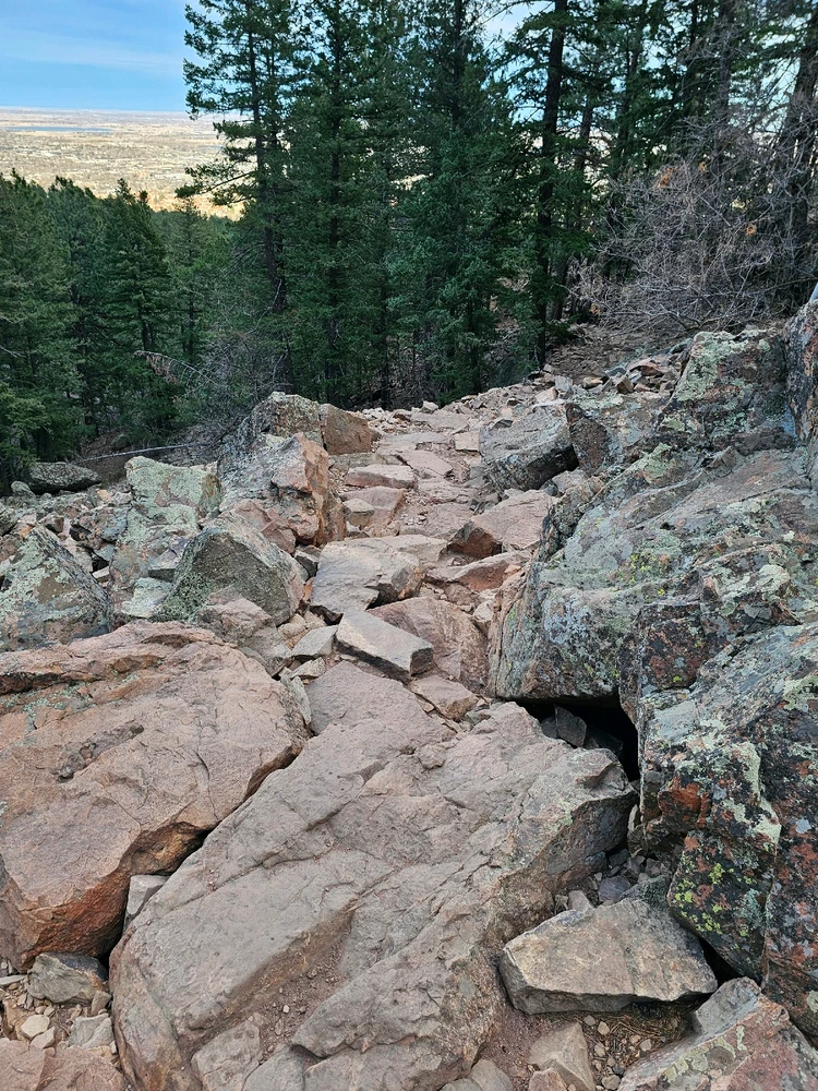 Image uploaded by Dan