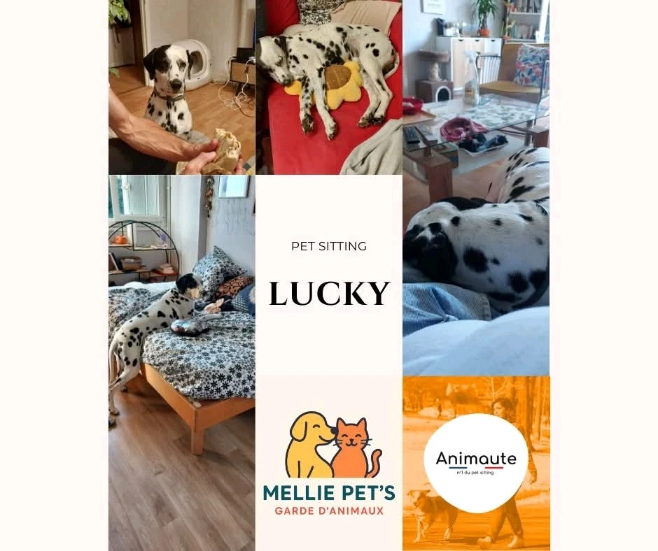 GIF ajouté par Allie Furie