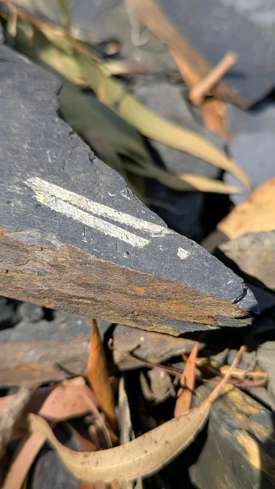 Image uploaded by Chris