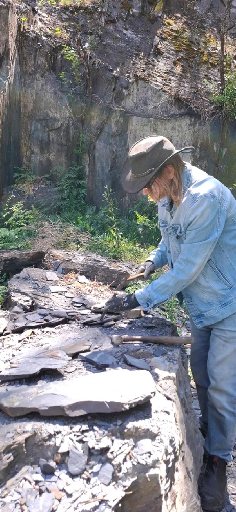 Image uploaded by Chris