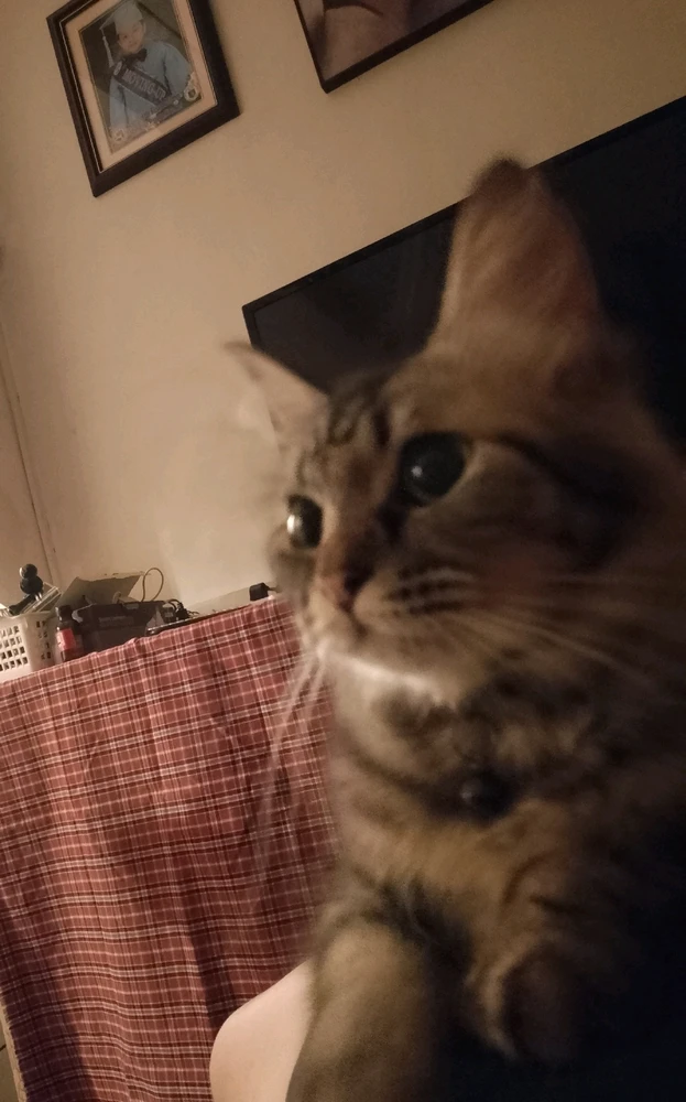 Image uploaded by Anne