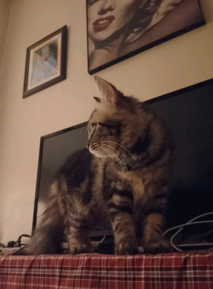 Image uploaded by Anne