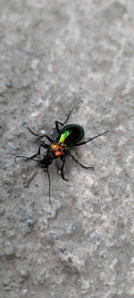 Image ajoutée par Alex