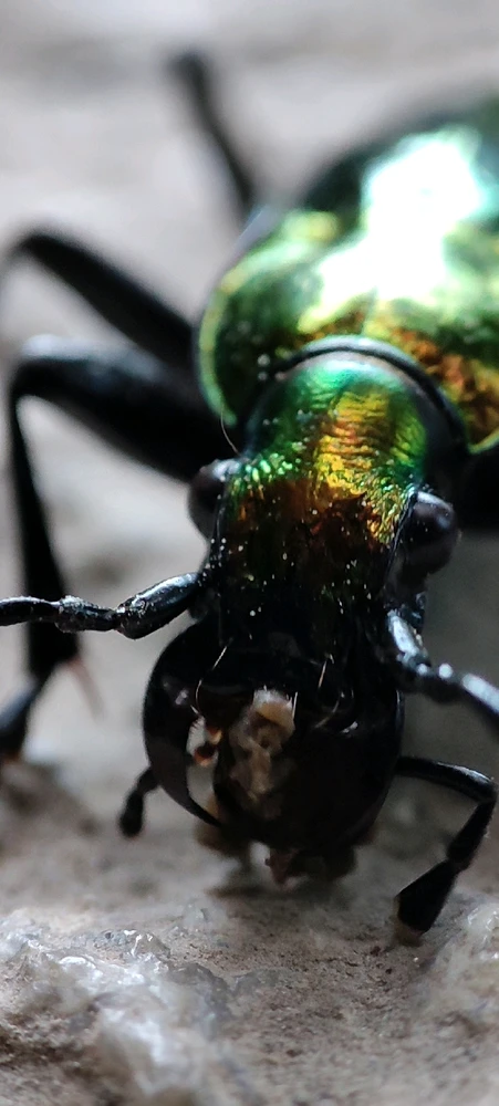 Image ajoutée par Alex