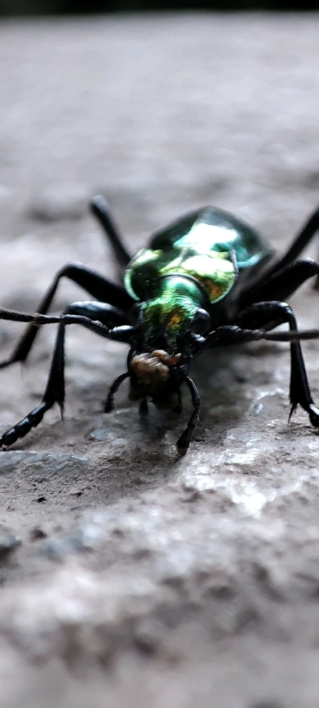 Image ajoutée par Alex