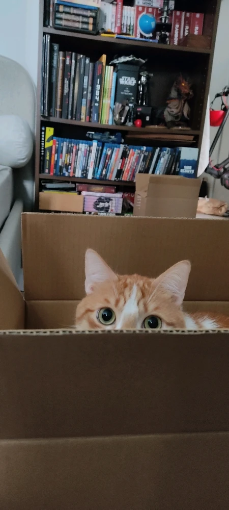 GIF ajouté par Raphaël