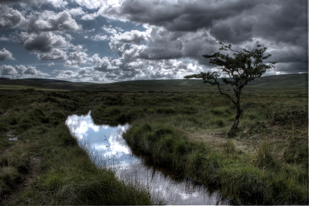 Image uploaded by Friedrich